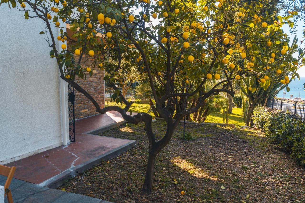 Apartment Lemon With Garden And Sea View By Wonderful Italy *